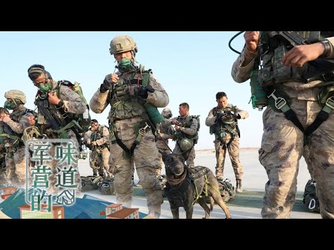 独家探访中国空军唯一一支特种部队 直击“雷神”突击队“携犬跳伞”全过程！「军营的味道」20210926 | 军迷天下