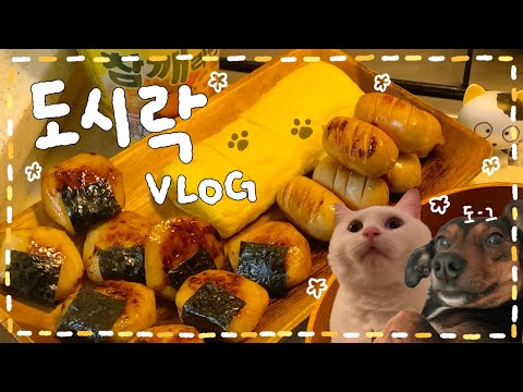 [VLOG] *.✧ 명란마요 주먹밥 도시락🍙🌸/ 오리불고기 야채쌈 도시락🥬/ 쫄깃..감자빵 도시락🥔/ 새우 바질크림파스타 도시락(•  ̫•)⋆🦐.·✨