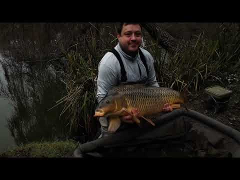 Огромный карп на Закрытие сезона 2025 