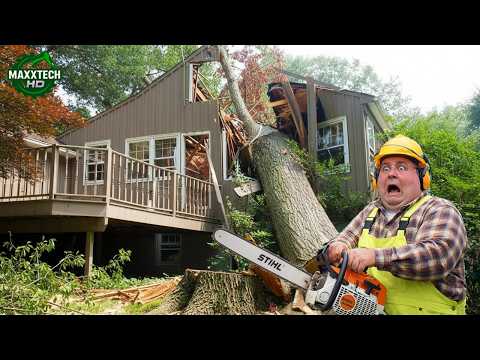 Idiots With Chainsaws: Tree Cutting Fails & Tree Falling on Houses Compilation #17