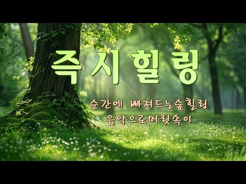 순간에 빠져드는 숲 힐링음악으로 머릿속이 즉시 맑아지는 시간 │ 우울감·불안감·삶의 무기력에서 벗어나 의욕이 되살아나는 치유음 ( 아침·작업·공부·수면·명상 )