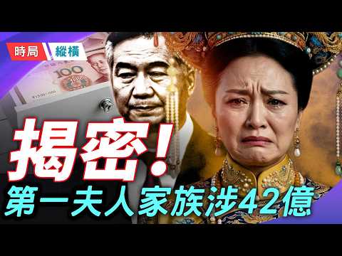 許家印認罪，李希被剪裙邊，馬興瑞向第一夫人家族輸送利益套路曝光 主播：芬尼  【時局縱橫】