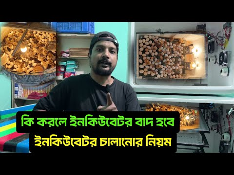 কি করলে ইনকিউবেটর বাদ হবে ইনকিউবেটর চালানোর নিয়ম