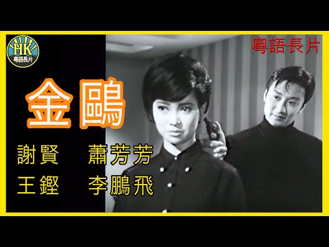 《粵語長片 》金鷗  (1967)｜謝賢｜蕭芳芳 | 王鏗 | 李鵬飛 | 導演：陳文  | 香港電影 | 香港粵語電影 | 粵語中字