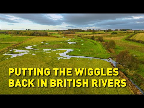 Putting the wiggles back in rivers