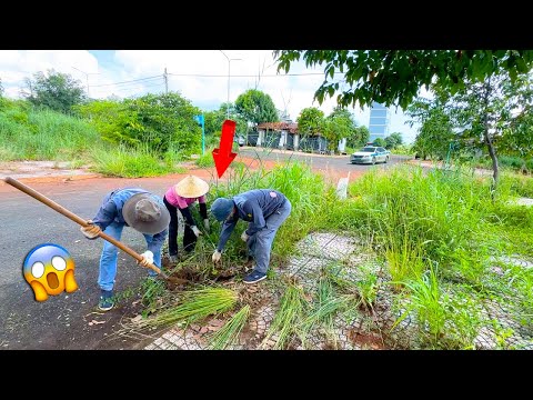 CHALLENGE Spending 2 Days Cleaning a Sidewalk Full of Thorny Grass and the Unexpected Ending