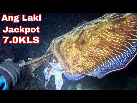 Ep 653 dive 1 Ang Laki Jackpot 😱😱 7kls night spearfishing Philippines 