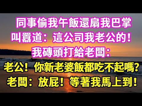 同事偷我午飯還扇我巴掌，叫囂道：這公司我老公的！我磚頭打給老闆：老公！你新老婆飯都吃不起嗎？ 老闆：放屁！等著我馬上到！#悠然書影#爽文#大女主#家庭#豪門