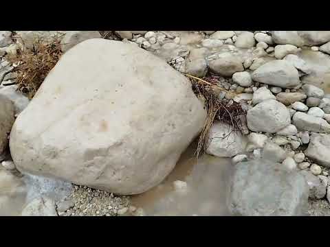 سابکرایب  کن 🌄   شب روز در طبیعت باش  با حسن ظرر نمیکنی ،🌿