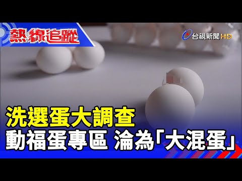 洗選蛋大調查 動福蛋專區 淪為「大混蛋」【熱線追蹤】