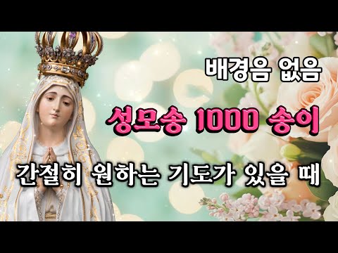 🙏 성모송 1000 번 | 배경음 없음 | 간절히 원하는 기도가 있을 때 | 은총 | 마음의 평화 | 치유 | 자비 | 위로 | 잠잘 때 듣는 기도 | 중간광고없음