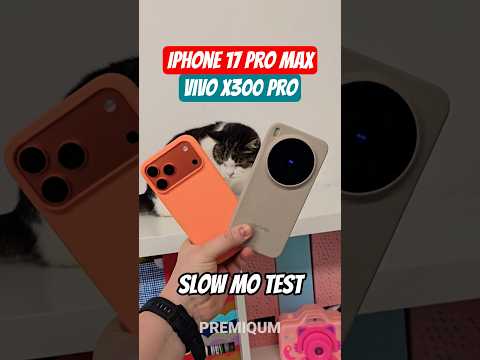 Slow Mo Cat Video Comparison iPhone 17 Pro Max vs Vivo X300 Pro! 🐈