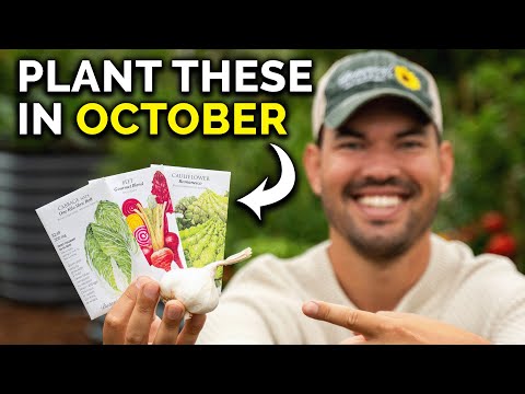11 Crops You Can Still Plant in October RIGHT NOW