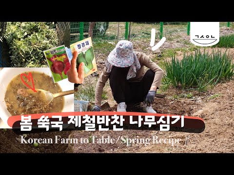 Spring is Here!🌱 Mugwort Soup, Blueberry Planting & Korean Side Dishes