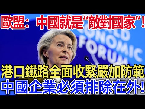 歐盟:中國就是“敵對國家”!港口鐵路全面收緊嚴加防範,中國企業必須排除在外!