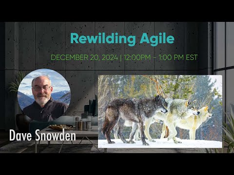Dave Snowden - Rewilding Agile - Agile to agility