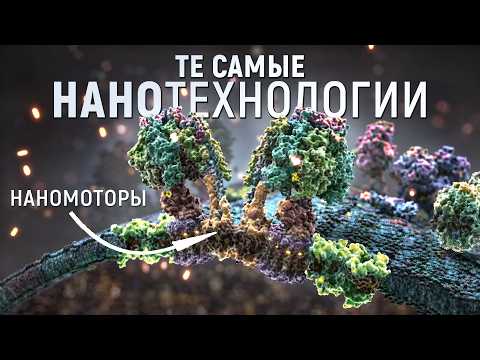 Biology is ahead of any machine. Molecular motors inside living organisms' cells.