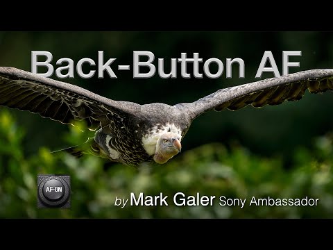 Back Button Focus for Sony Alpha Cameras