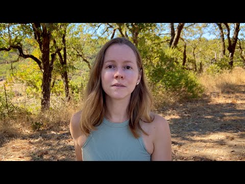 The trouble with success in art