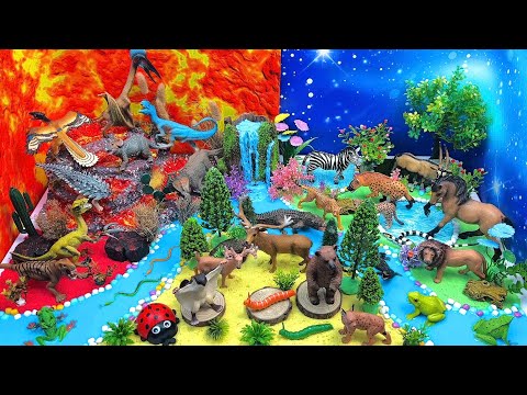 Learn About Animals | Zoo Animals, Ocean Animals & Farm Animals