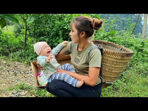 FULL VIDEO Picking eggplants - radishes - selling accidentally met a baby abandoned by his family