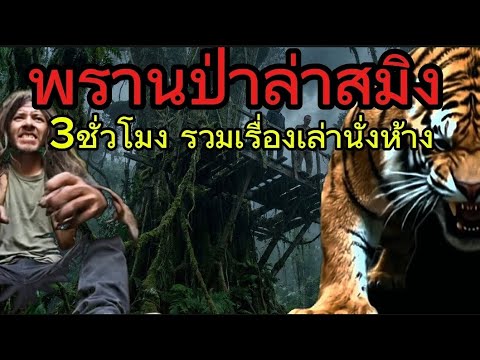 3ชั่วโมงรวมเรื่องเล่า พรานป่าล่าสมิง" ป่าอาถรรพ์ยอดนิยม ฟังยาวๆ