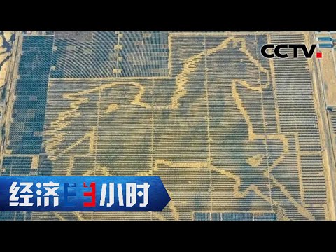 从望沙兴叹到靠沙致富，如何摆脱人沙相争的生存状态？「经济半小时」20221018 | CCTV财经