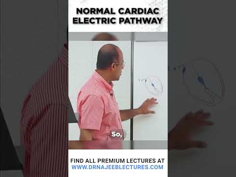 Normal Cardiac Electric Pathway #drnajeeblectures #drnajeeb #shortvideo
