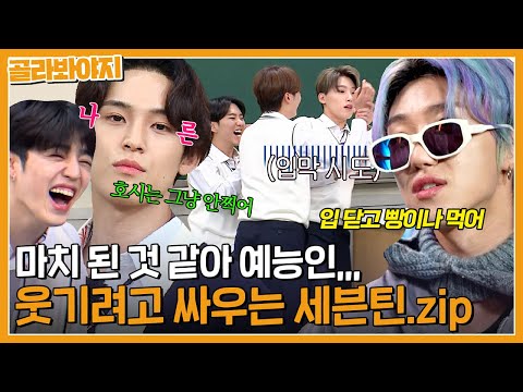 [세븐틴] 웃수저 손오공들💎 극딜마저 웃긴 사이좋은 개그틴 | 할명수 외