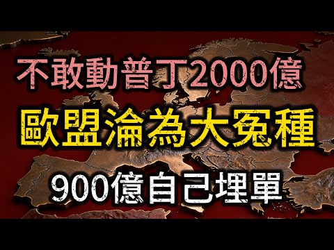 世紀大冤種誕生！馮德萊恩「俠盜夢」碎，俄羅斯資產沒搶到，900億帳單自己埋單！