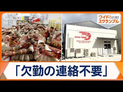 「無断欠勤OK」「出勤時間自由」新たな働き方＆仕事の効率化で業績伸ばす水産加工会社【ワイド！スクランブル】(2025年5月6日)