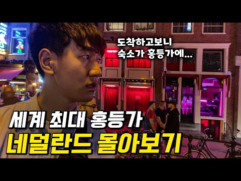 마약, 성매매, 모든 불법이 합법인 네덜란드 몰아보기