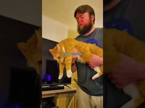 Cutest Cats!! 😻😻