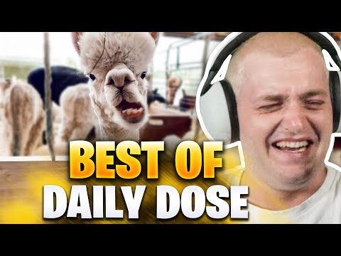 😂😍Die BESTEN TIER CLIPS ALLER ZEITEN - Teil 2 REAKTION | Trymacs Stream Highlights