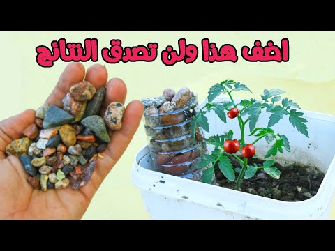 An invention beyond description! ✌ Don't plant tomatoes or any other plants before adding this ma...