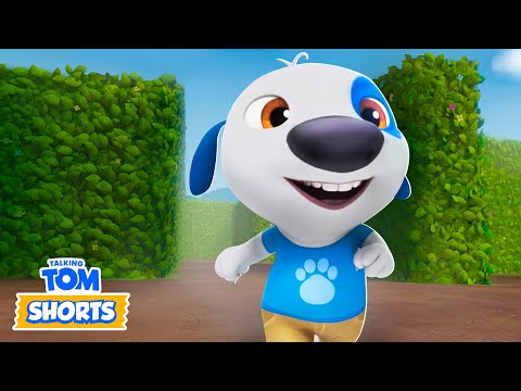 NEW EPISODE! Lost in the Maze 🌀😵‍💫 Talking Tom Shorts (S3 Episode 40)