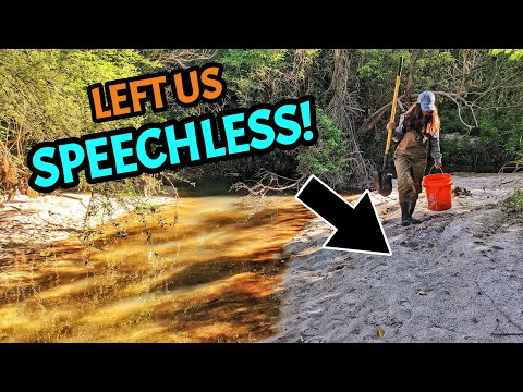 These Creek Banks Were Hiding Our RAREST DISCOVERY Yet - An Unforgettable Find Shrouded in Mystery!