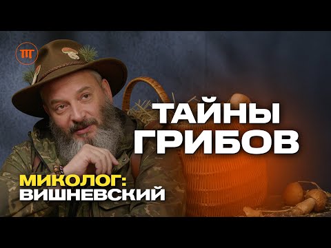 Тайна грибов - как они меняют мир и наше сознание? Миколог Михаил Вишневский