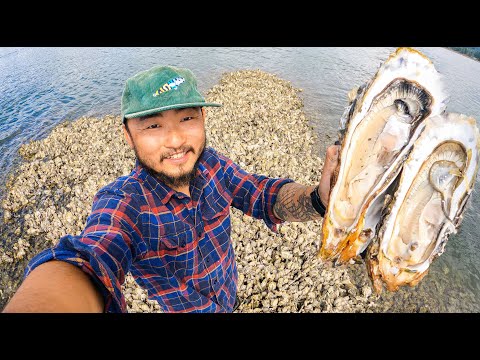 TINY ISLAND Made of Oysters | Oyster Po'Boy