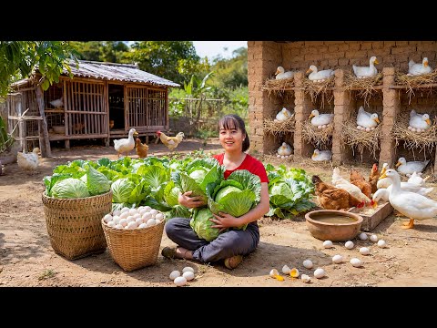 TIMELAPSE -- 24 Hours Harvesting Cabbage to Sell at the Market & Cooking Preparing Smoked Sausages