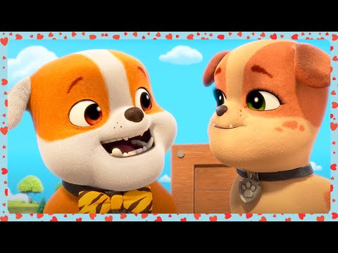 Rubble & Crew - ❤️ Valentine's Day ❤️ | Season 1 Compilation | WildBrain Zoo | Kids Cartoons