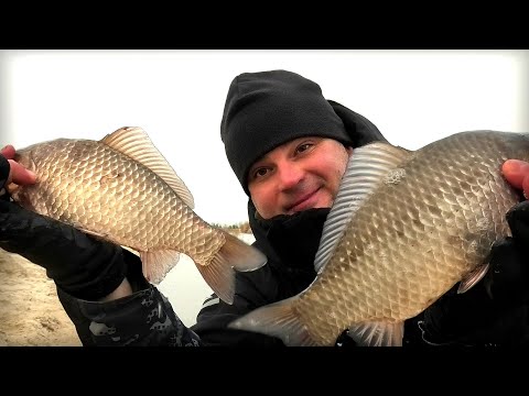 Їх просто Тони‼️Зайшов на Зимовку Величезний Карась‼️