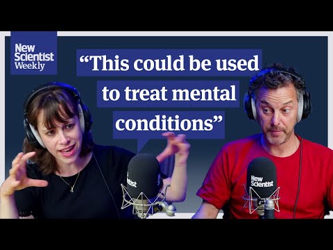 Scientists find way to rewire the brain