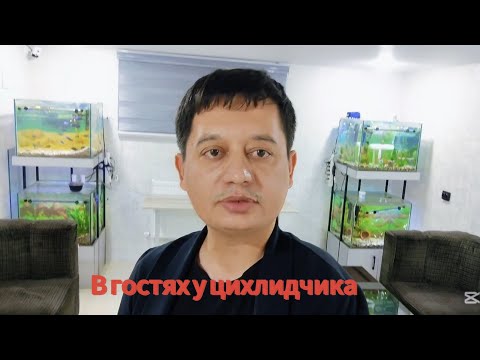 В гостях у Цихлидчика