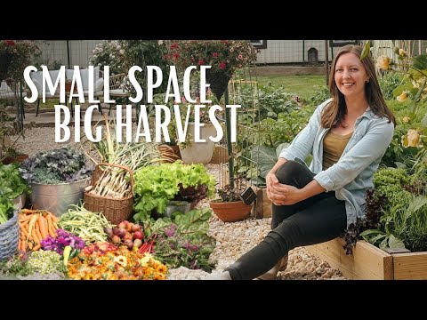 Growing Abundance on Less than 1/4 Acre! | FULL Homestead Tour