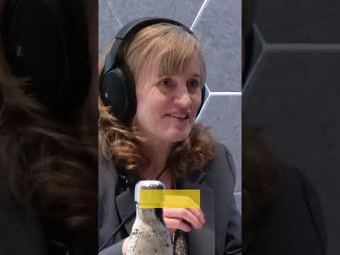 How Our Perceptual Systems Work