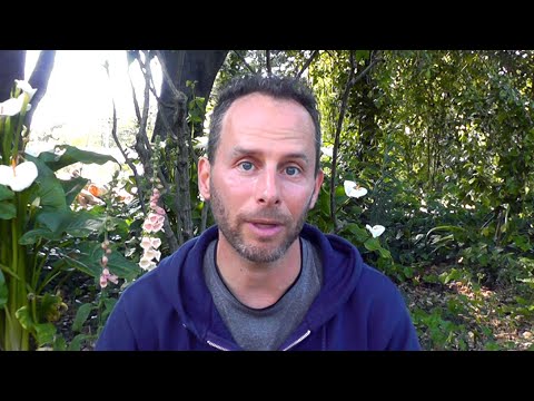 I Lost the Majority of my Life Savings in an Online Dating Scam