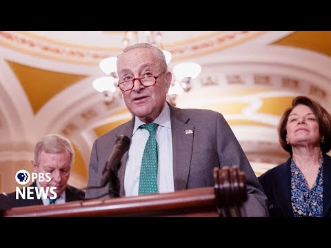 WATCH LIVE: Senate Minority Leader Schumer holds news briefing on Trump tariffs