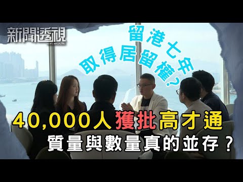 高才通申請門檻低 對本地勞動市場有利嗎?|新聞 | 時事 | 資訊節目 | 新聞透視|News Magazine