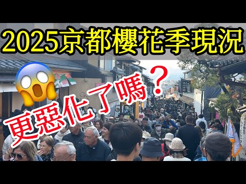 2025年京都櫻花季,旅遊體驗更惡化了嗎?【日本旅遊】京都櫻花季现况實拍🌸京都賞櫻名所・日本櫻花季・京都自由行攻略・京都旅遊・美食・日本自由行・清水寺・鴨川・圓山公園・八坂神社・京都站・錦市場・木屋町